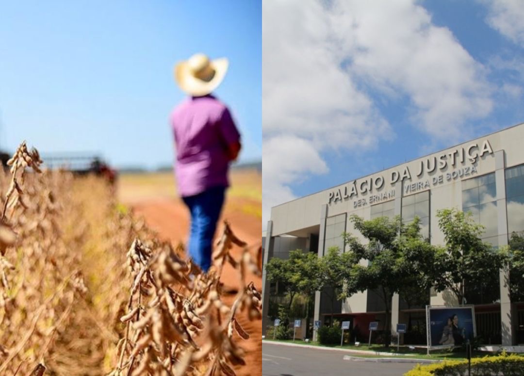 TJMT decreta falência de grupo de produtores rurais por não pagar administrador