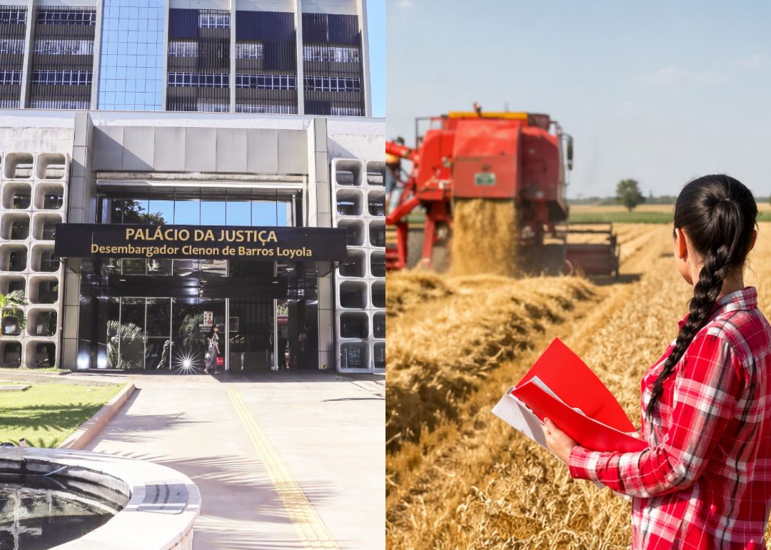 TJGO suspende encargos abusivos em crédito rural e proíbe negativação de produtora