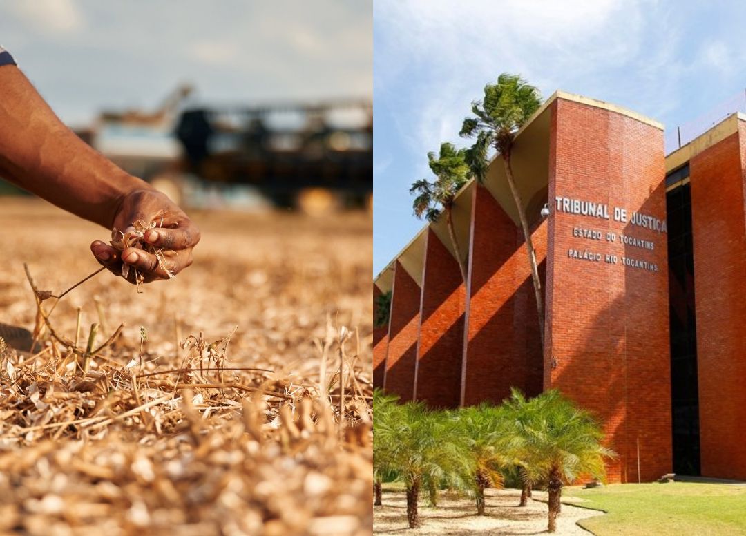 TJTO reconhece direito de produtor rural ao alongamento de dívida de crédito rural após frustração de safra