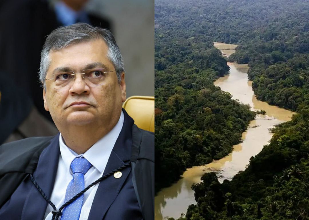 STF determina que União adote medidas contra organizações criminosas na Amazônia
