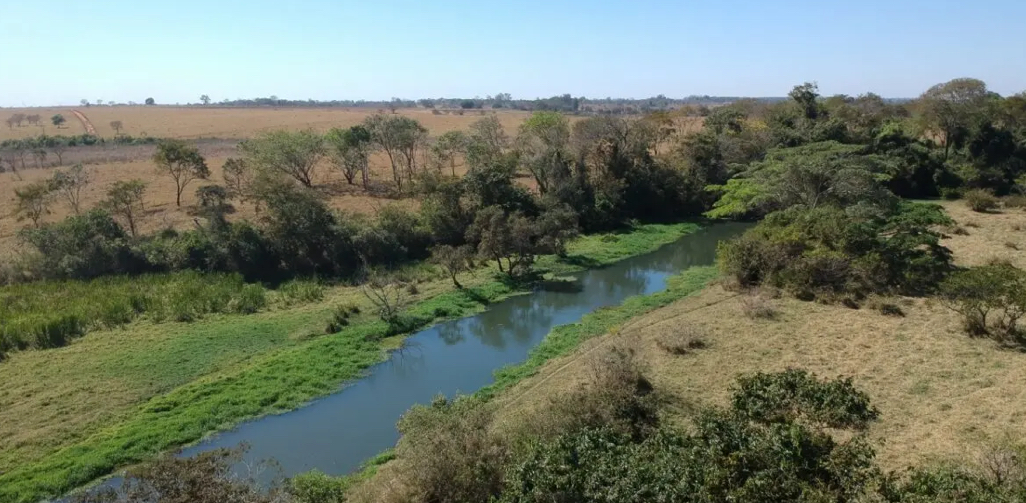 Compensação Ambiental em Goiás: o Decreto nº 10.899/2026 finalmente regulamenta a modalidade financeira
