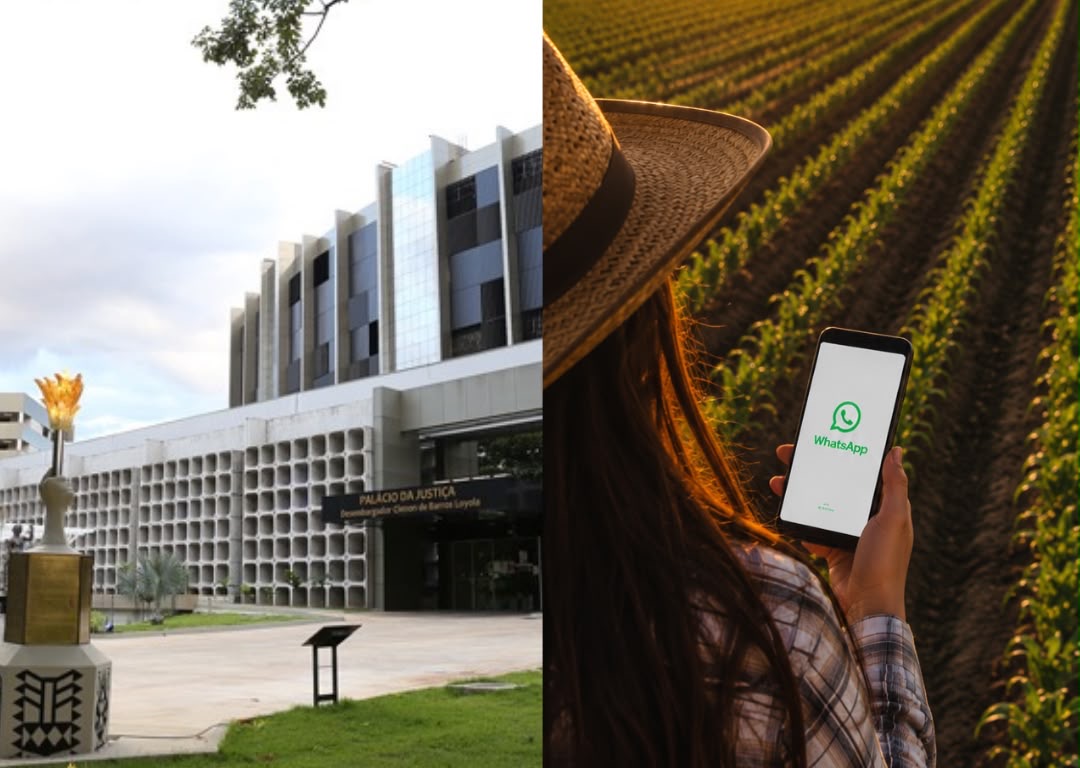 TJGO admite WhatsApp como meio válido de notificação em arrendamento rural