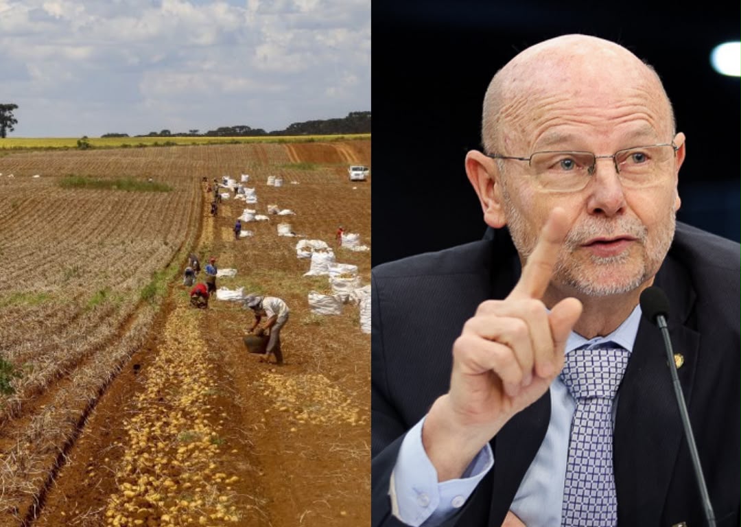 Câmara debate PLs sobre contratação de trabalhador rural safrista