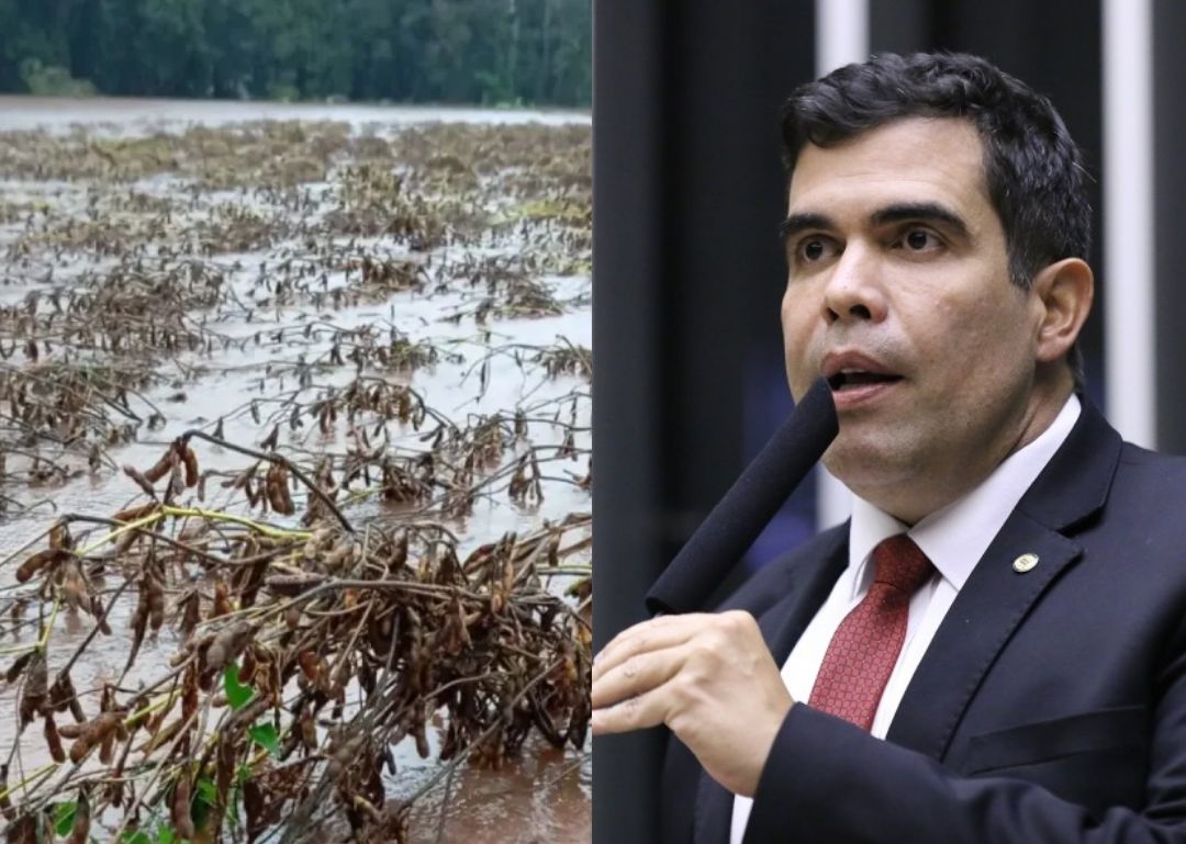 CCJ da Câmara aprova retroatividade no desconto do ITR
