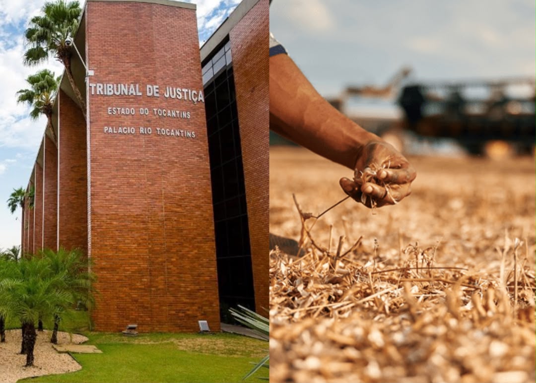 TJTO nega recurso de cooperativa e mantém suspensão de dívida rural por frustração de safra