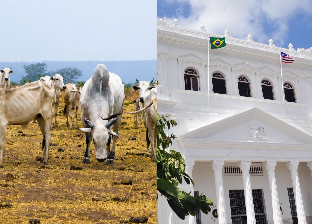 TJMA defere liminar e suspende cobranças de crédito rural por estiagem