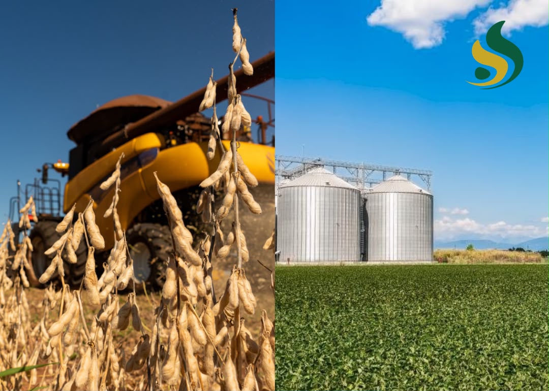 Aprosoja/MS aponta impactos do IBS e CBS para produtores de soja e milho