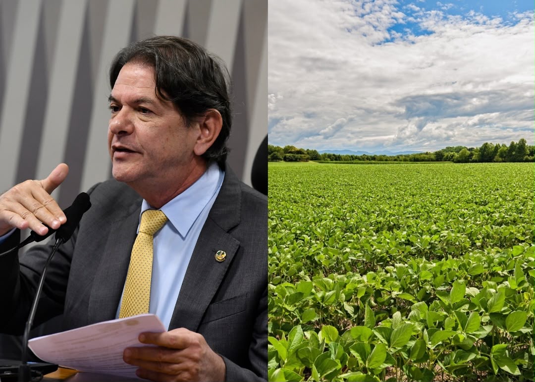 Senado aprova projeto que institui Política Nacional de Agricultura Regenerativa