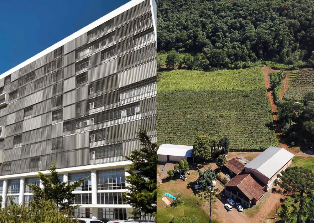 TJPR reconhece impenhorabilidade da propriedade rural abaixo de um módulo fiscal em execução de cédula bancária