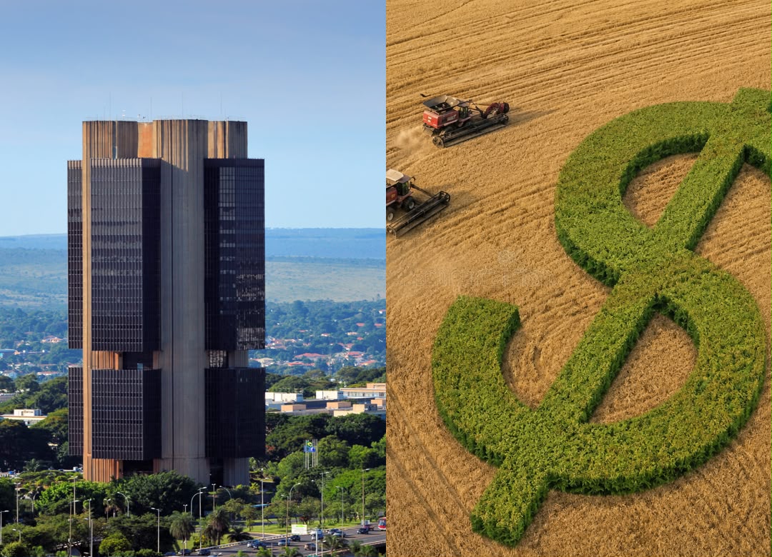 CMN publica duas resoluções sobre crédito rural 