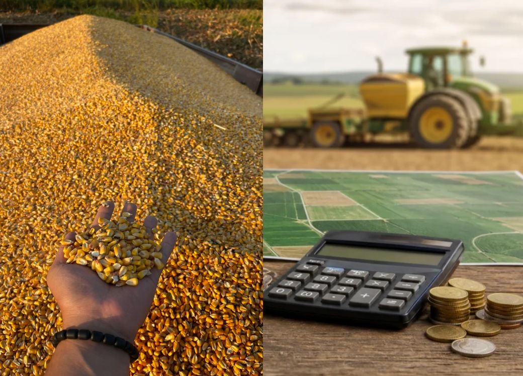 Produtor rural do MS obtém suspensão de dívidas rurais após quebra de safra superior a 50%