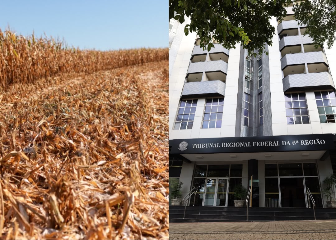 Justiça Federal rejeita impenhorabilidade de fazenda hipotecada e reconhece alongamento de dívida rural por estiagem</p><p>