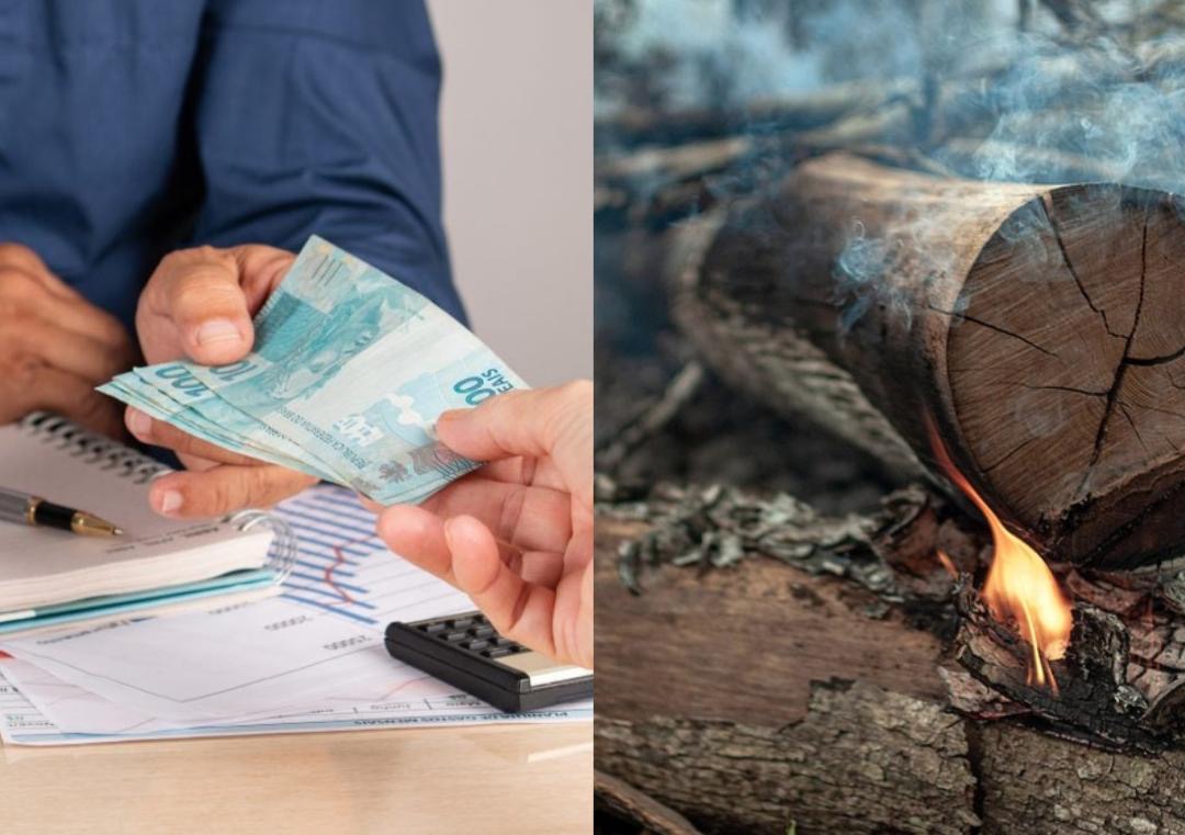 MP 1.367/2026 abre crédito de R$ 337,5 milhões para prevenção de incêndios florestais