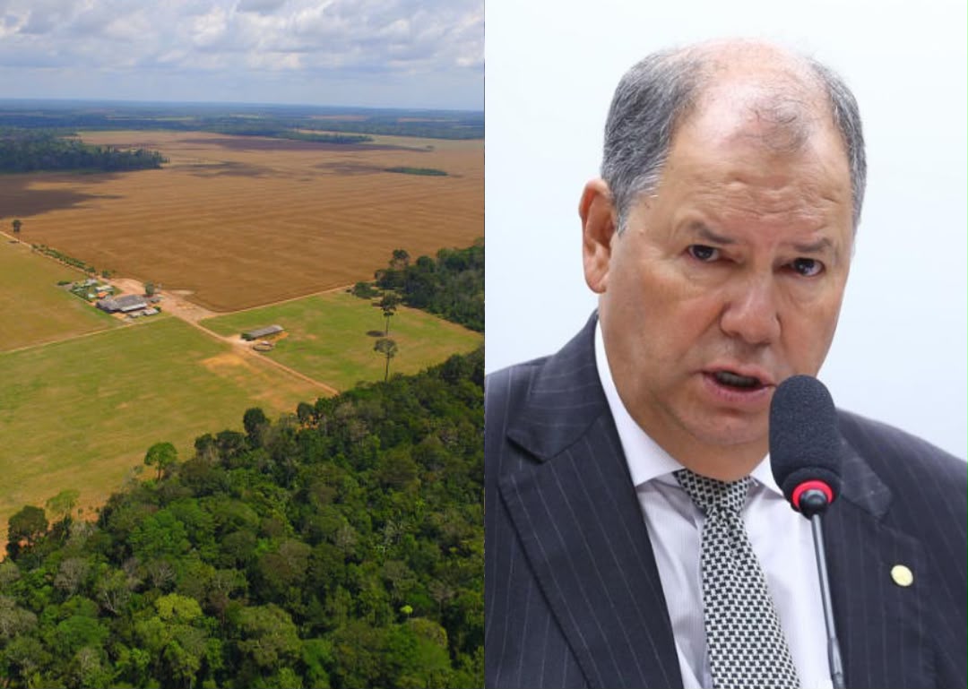 Câmara aprova consulta obrigatória a entidades rurais em regulamentações do ITR