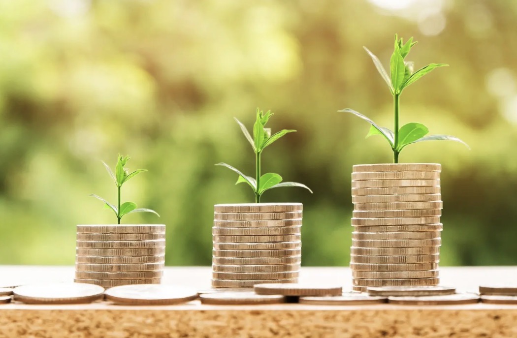 O MCR 2.6.4 como instrumento de política agrícola: função social, proteção ao produtor e os equívocos do contencioso
