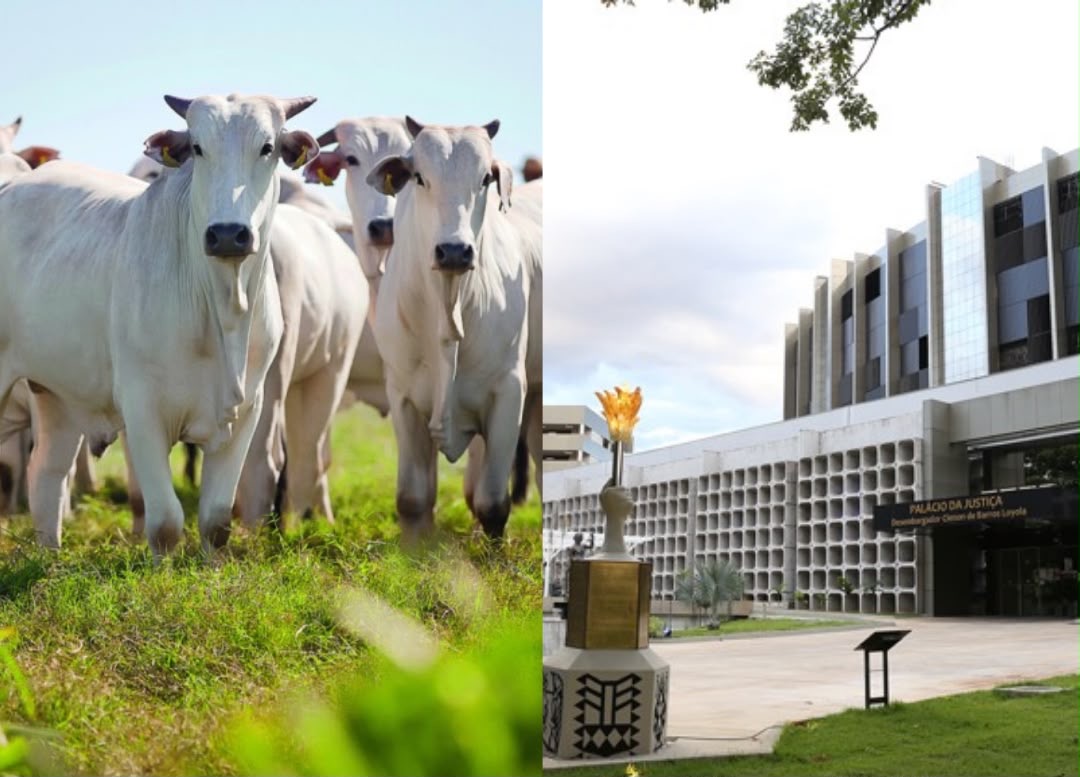 TJGO defere tutela e impede inscrição de pecuarista em cadastros de crédito