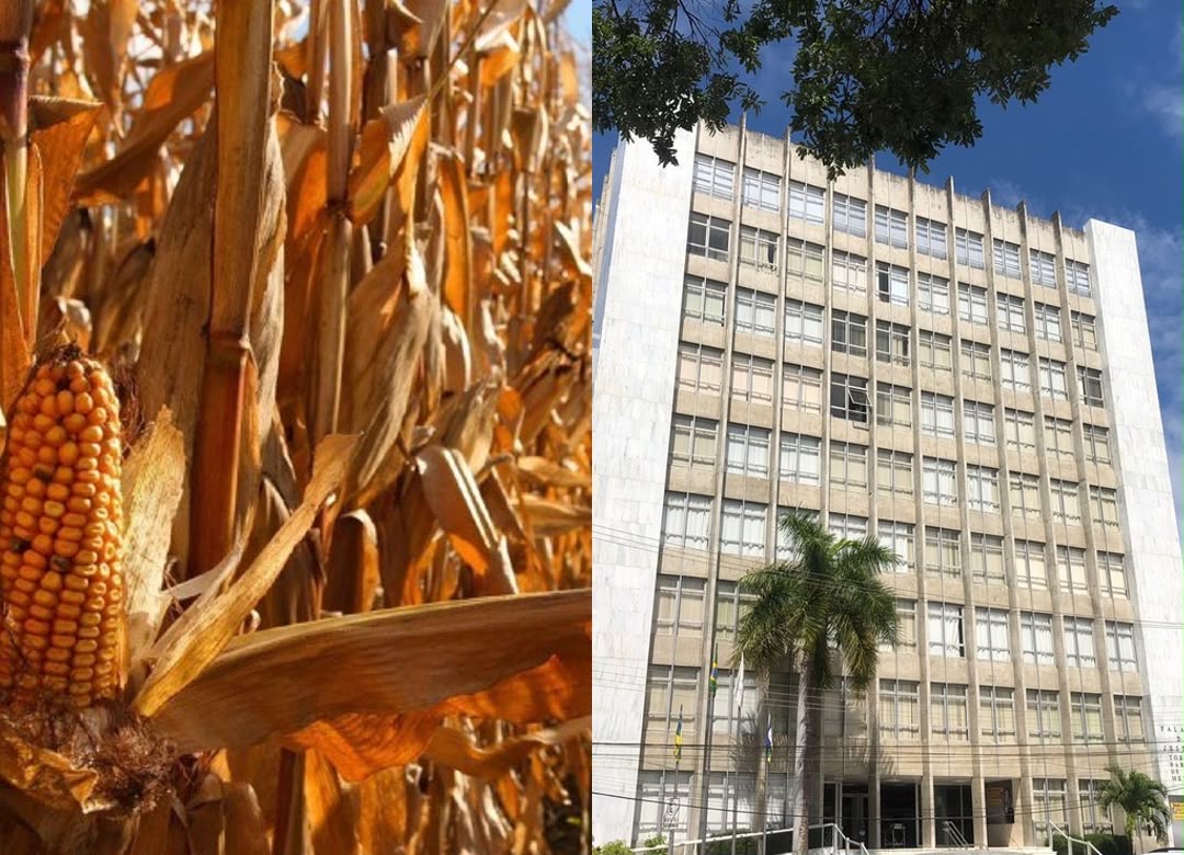 Justiça de Sergipe veda negativação de produtor rural em ação de crédito rural