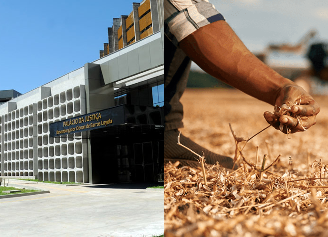 TJGO defere tutela de urgência e obriga banco a suspender cobrança de crédito rural 