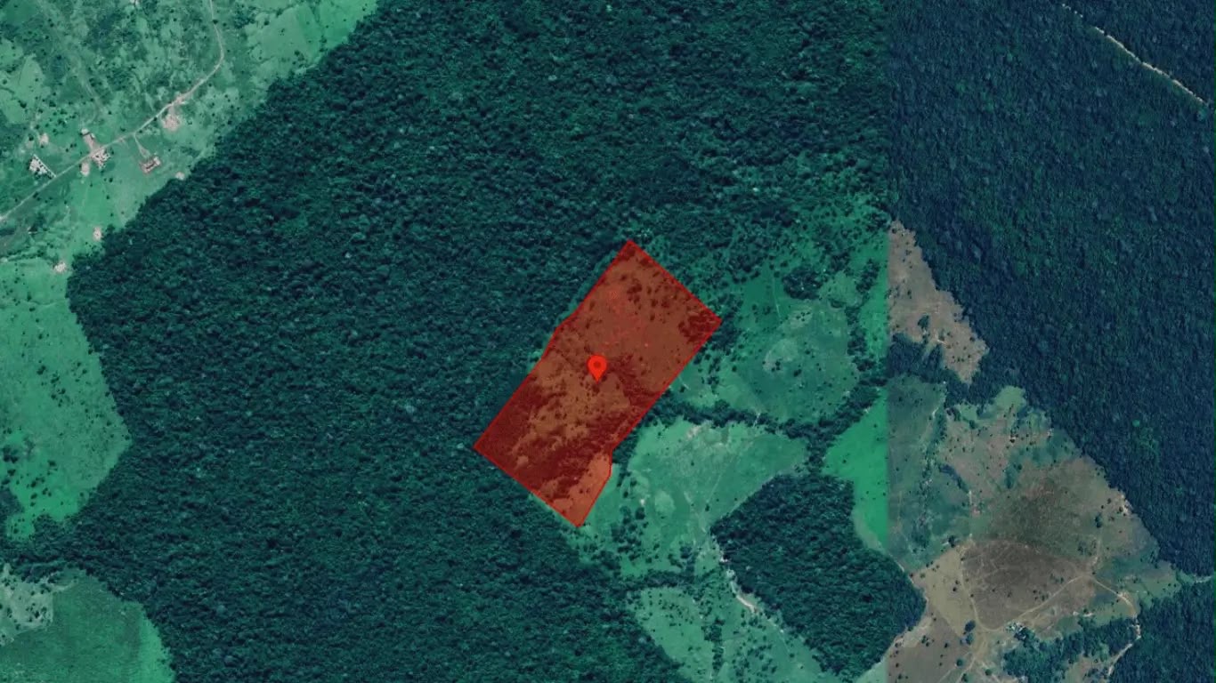 Por que não se pode punir quem está se regularizando em área consolidada