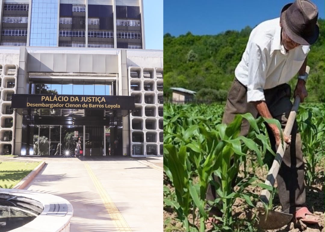 TJGO suspende alienação fiduciária constituída por produtor rural com demência