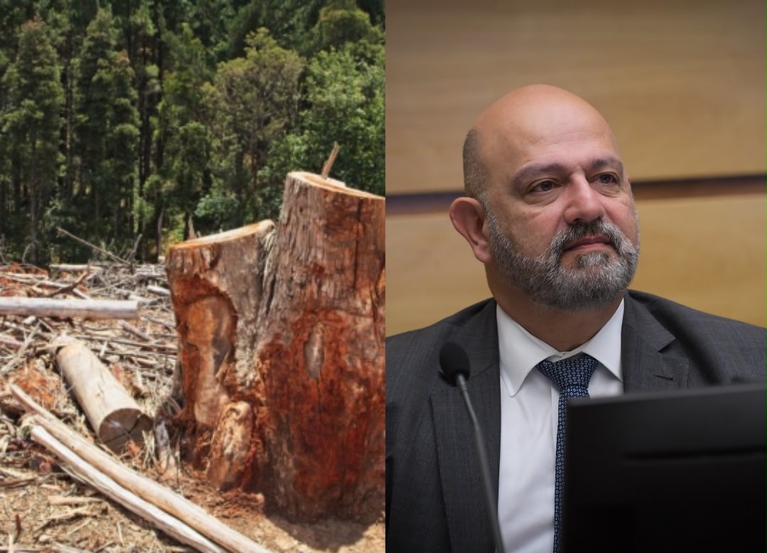 STJ mantém condenação de R$ 626 mil por dano moral coletivo ambiental 