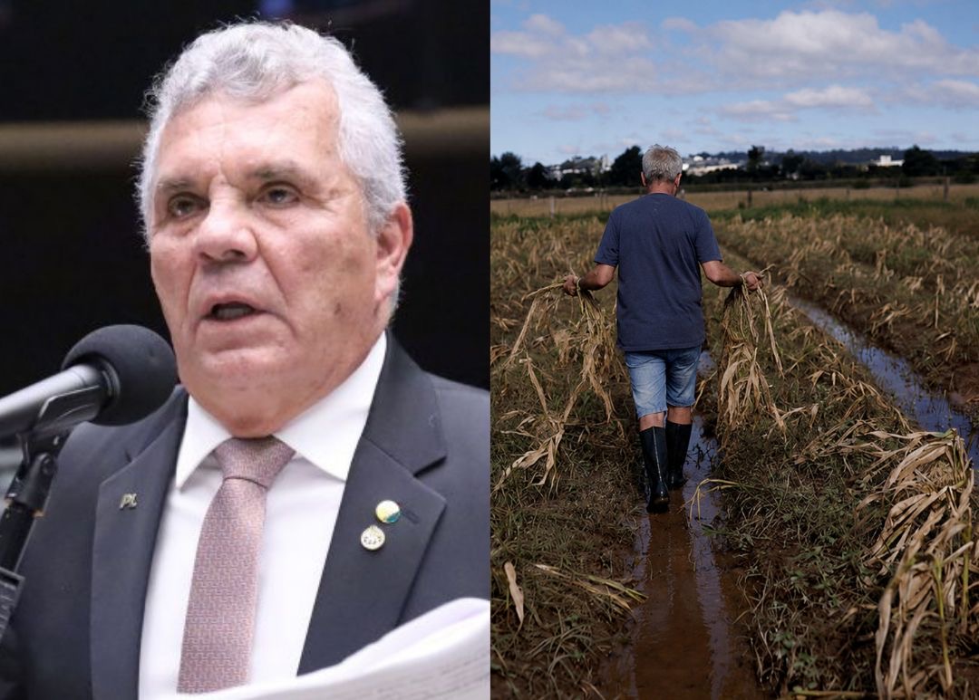 CAPADR aprova projeto que cria programa de amparo a produtores em desastres climáticos