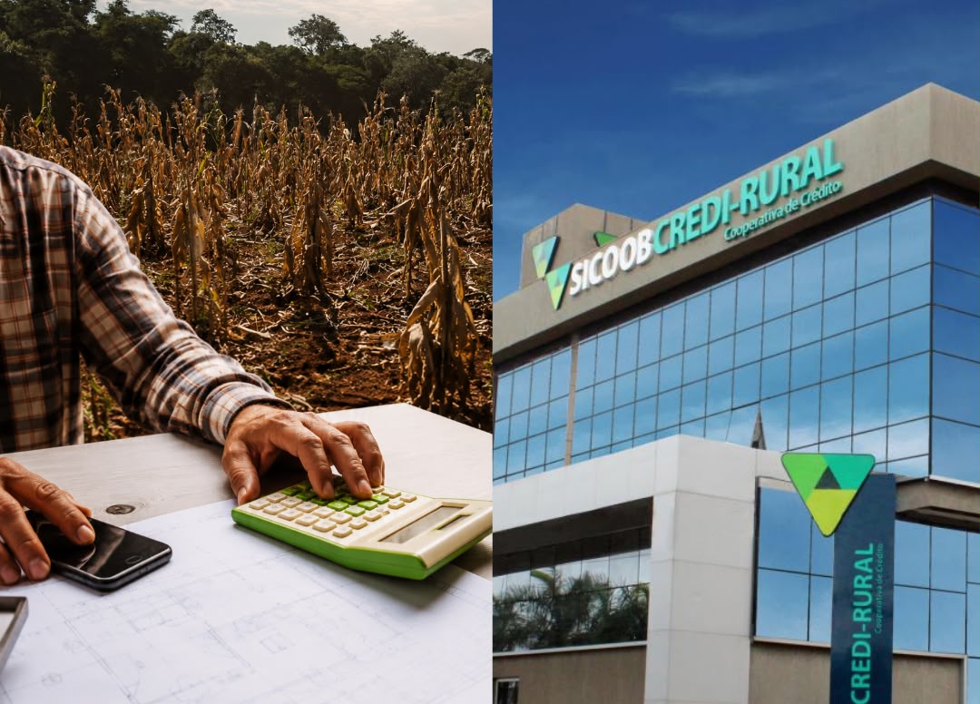 Juiz suspende dívida rural e impede cobrança do SICOOB após reclassificação indevida de crédito rural