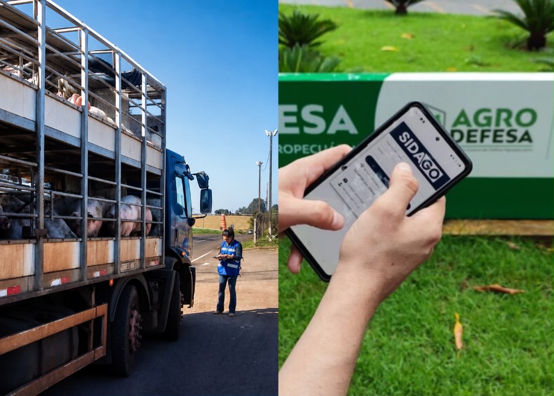 Agrodefesa autoriza apresentação digital da GTA em Goiás