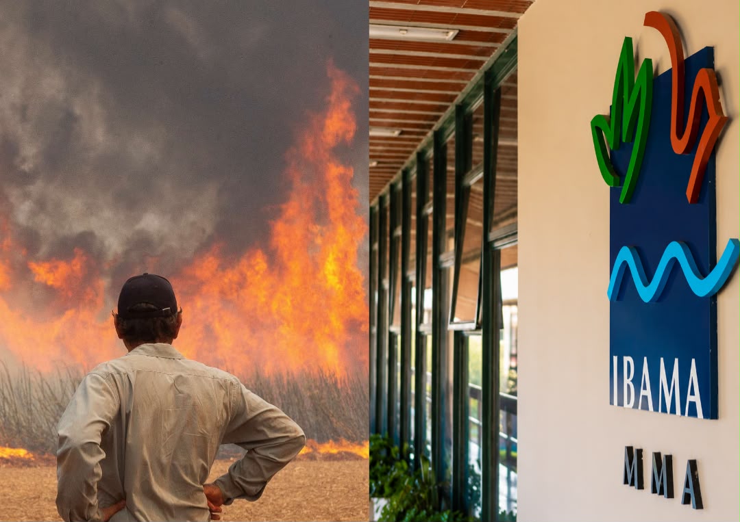 Ibama notifica mais de 3.800 propriedades rurais no Pará por risco de incêndio florestal</p><p>