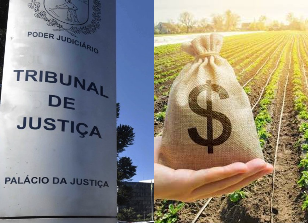 TJPR suspende cobrança de crédito rural e impede negativação de produtor contra banco 