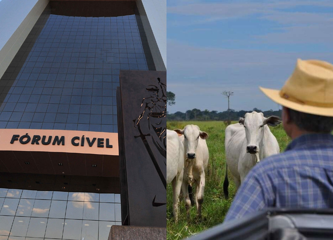 Juíza impede negativação de pecuarista e reclassifica dívida bancária como rural