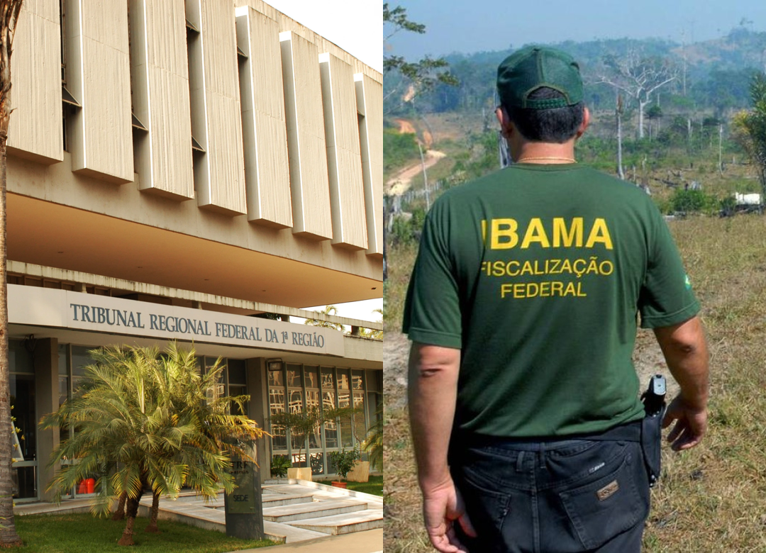 Justiça Federal suspende embargo ambiental do IBAMA contra produtor rural no Distrito Federal 