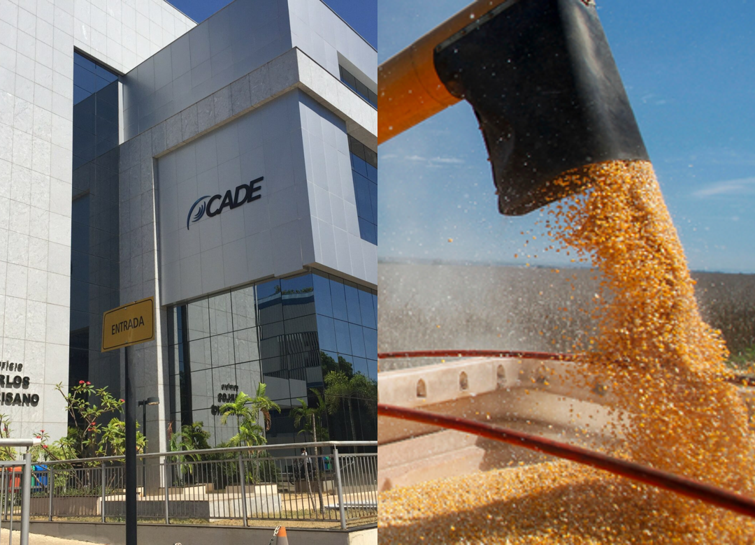 SG/Cade recomenda condenação de Bayer e Monsanto por fidelizar obtentores de sementes de soja