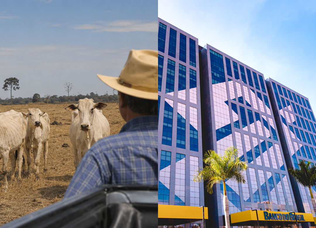 Após estiagem do El Niño, Justiça do Pará impede Banco do Brasil de executar produtor