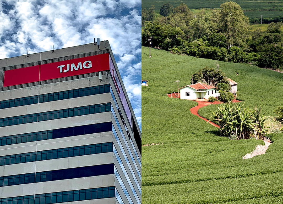 TJMG nega recurso e confirma usucapião extraordinária de imóvel rural