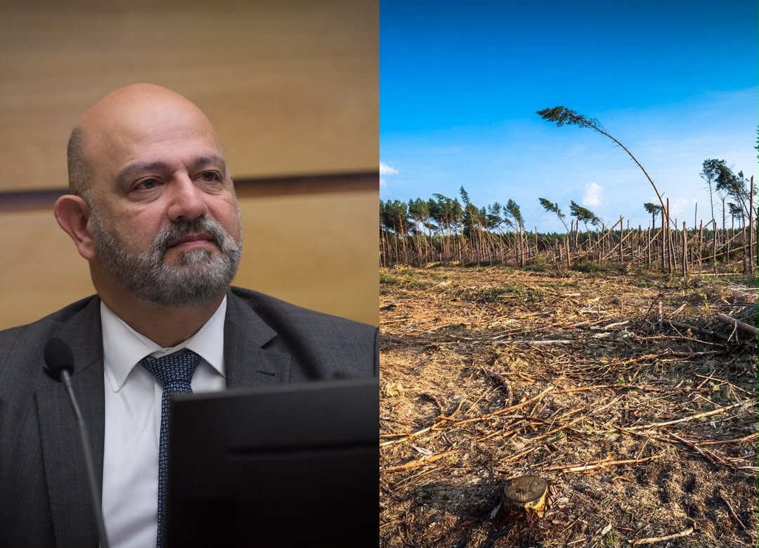 STJ afeta conversão de multa ambiental a rito de repetitivos