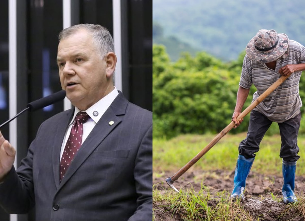 Câmara aprova urgência de projeto que suspende sanção ambiental a pequeno produtor