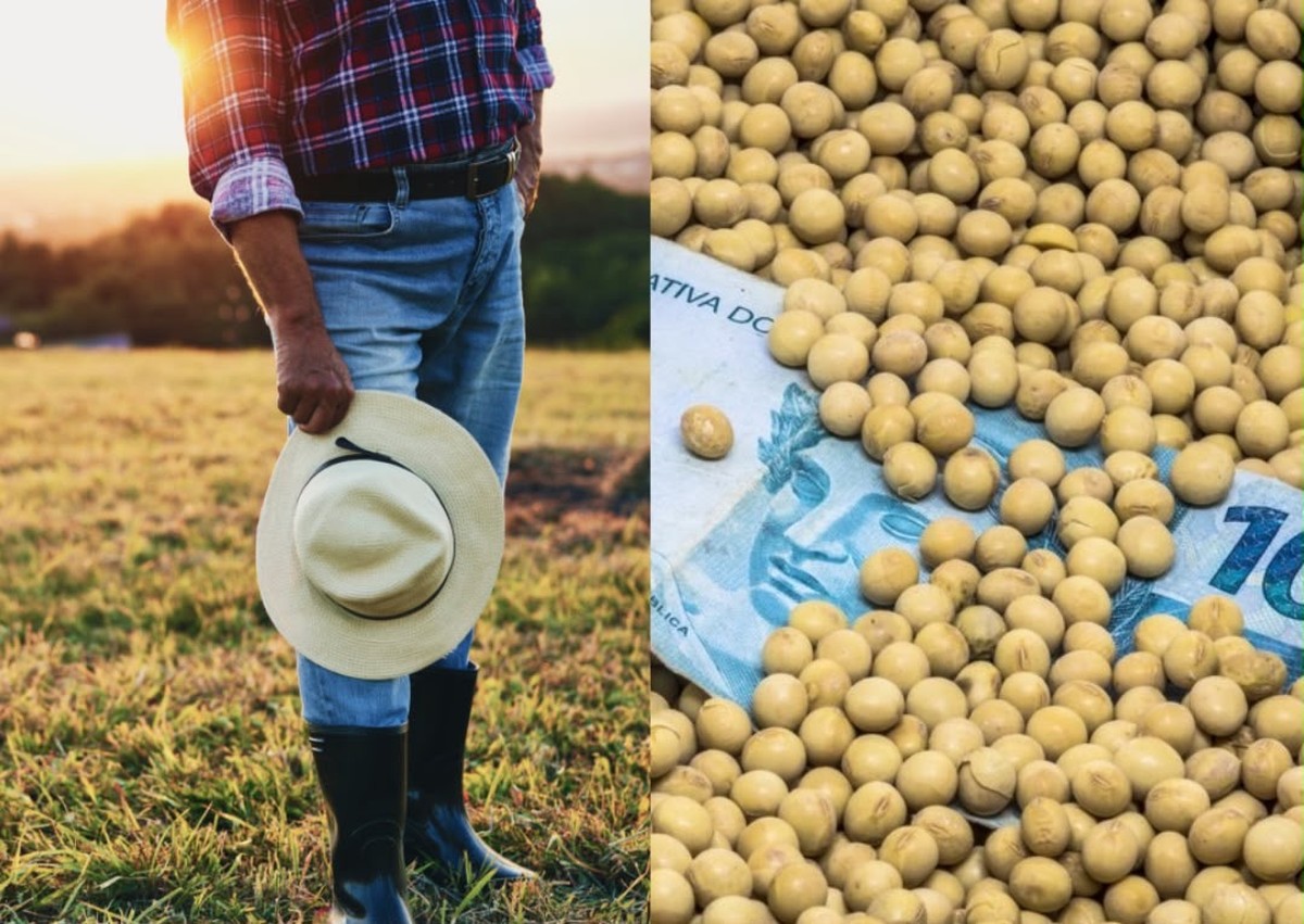 Produtor rural do Paraná obtém liminar contra cobrança de dívida rural e negativação