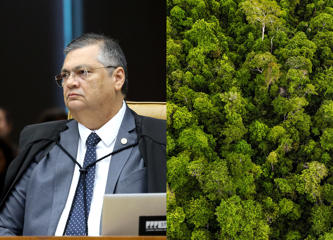 STF suspende demolição em APP e reabre debate sobre ocupação consolidada anterior a 2008