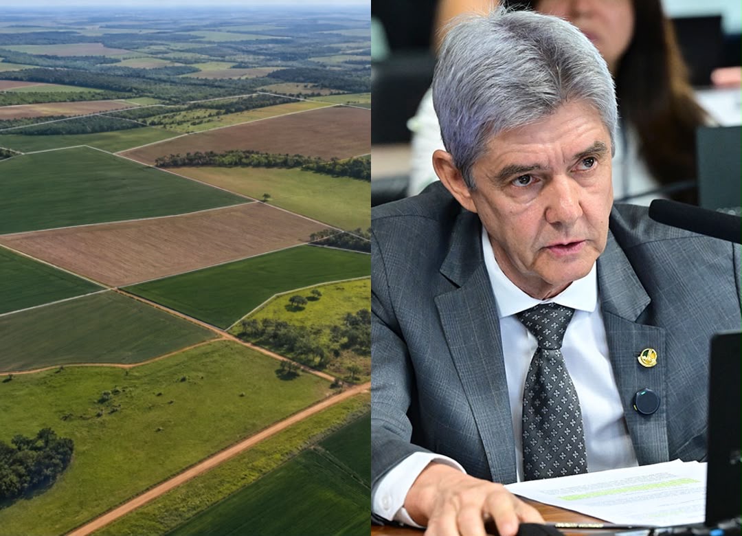 CAE aprova não incidência de ITR sobre imóveis rurais invadidos