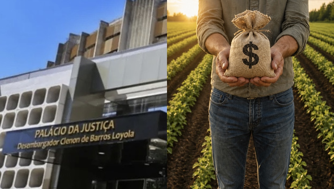 TJGO anula sentença que negava natureza rural a crédito bancário