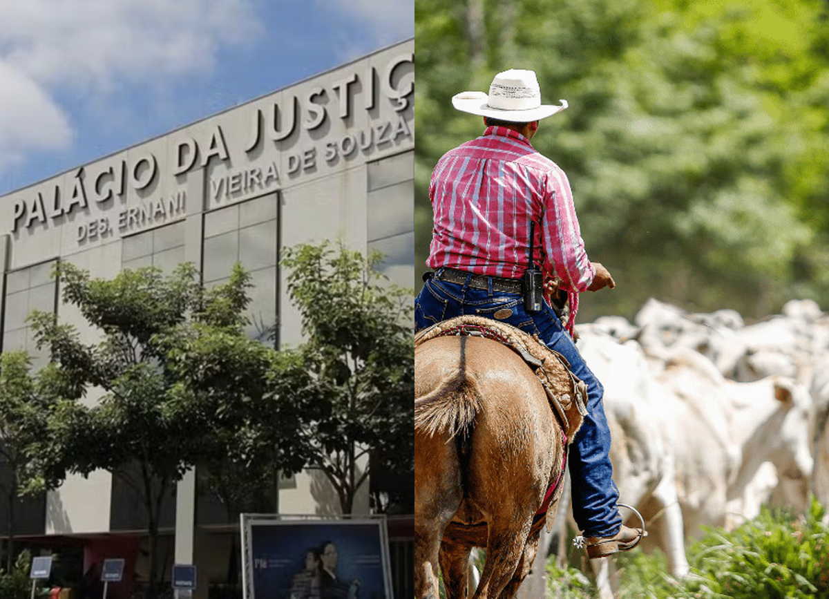 TJMT nega recurso de pecuarista ao STF e mantém dosimetria no STJ