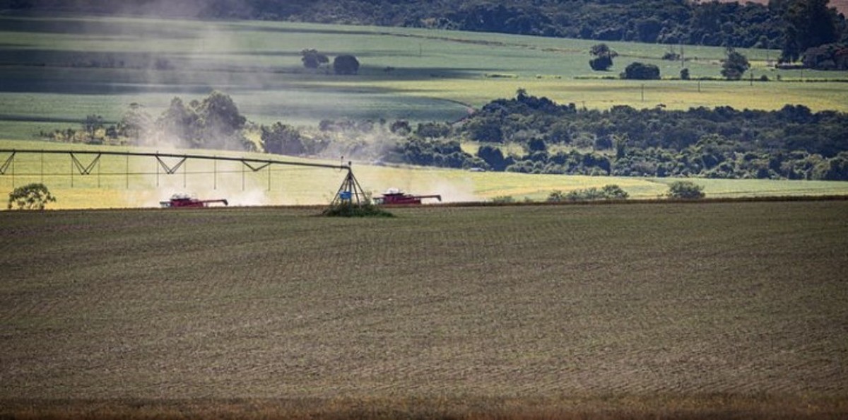FGV-Agro estima R$ 112 bilhões segurados com gasto da renegociação