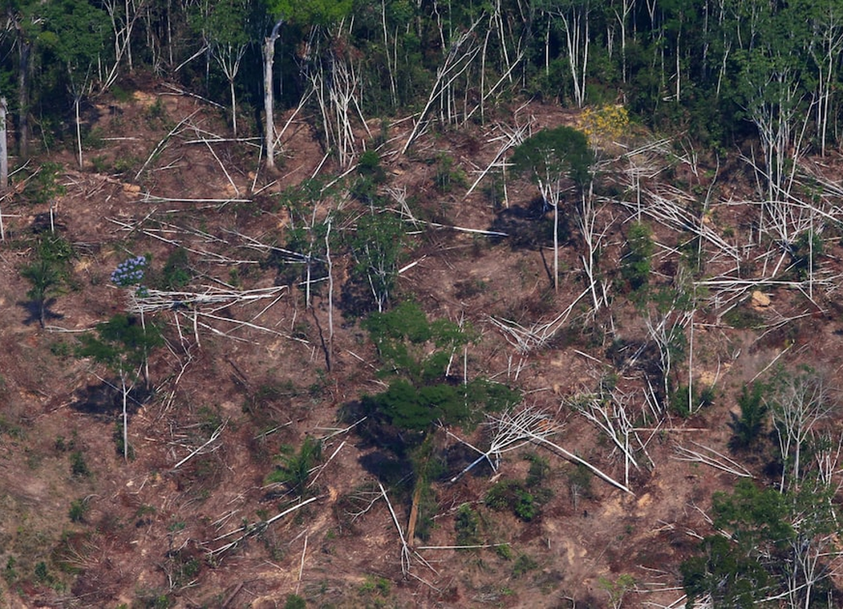Amazônia Legal ainda soma 366 mil processos ambientais pendentes, apesar de queda no volume