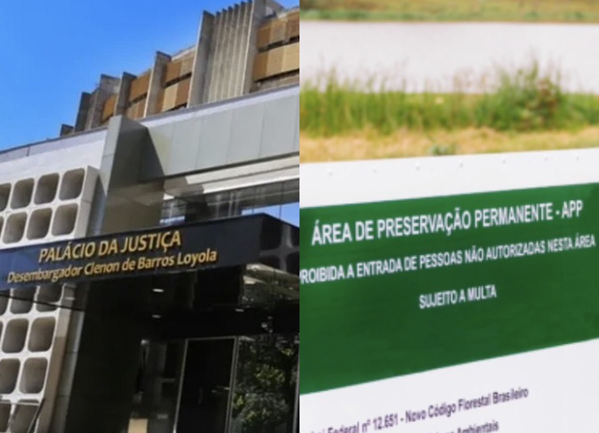 TJGO suspende obrigações ambientais após SEMAD afastar APP