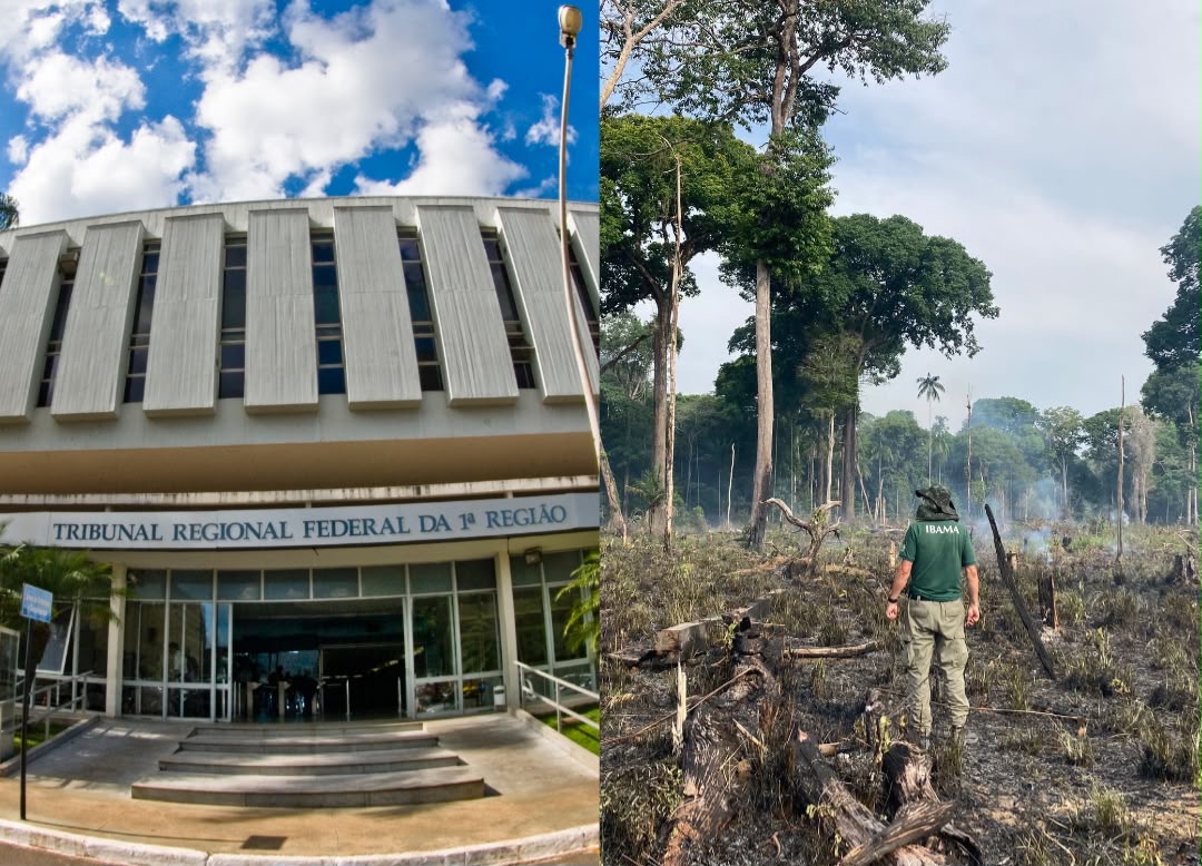TRF1 anula decisão do IBAMA por nulidade na intimação de produtor rural