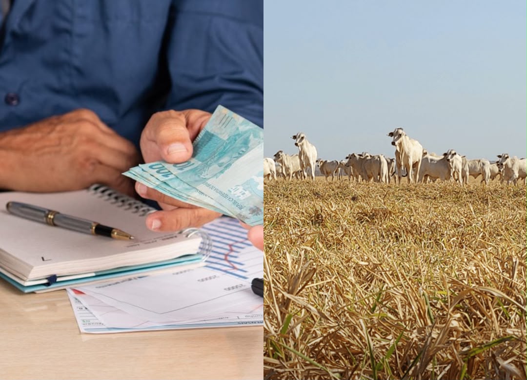 Justiça de MT suspende exigibilidade de R$ 16 milhões em dívida rural