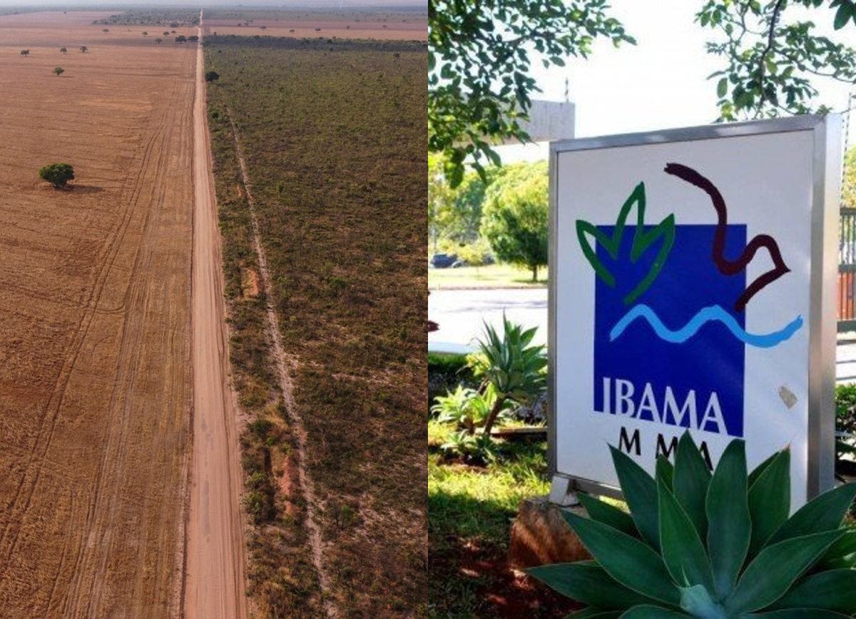 Ibama coloca em operação nova plataforma para pedidos de licenciamento ambiental federal