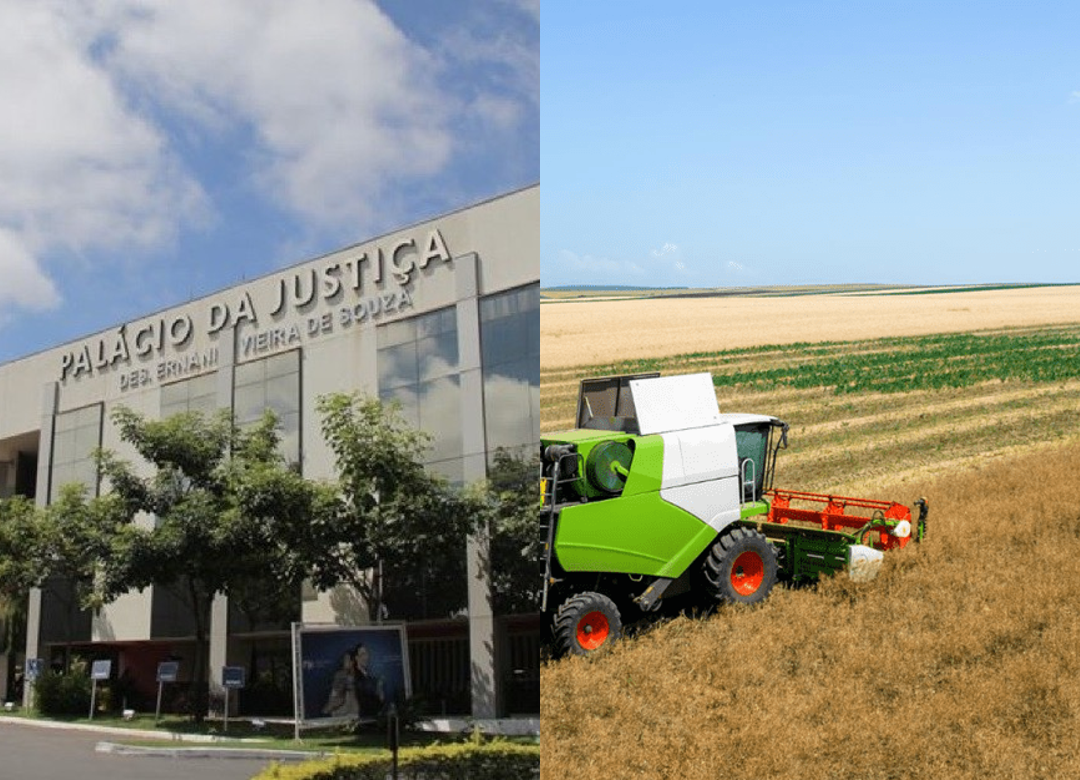 TJMT autoriza arresto cautelar de safra vinculada a penhor agrícola