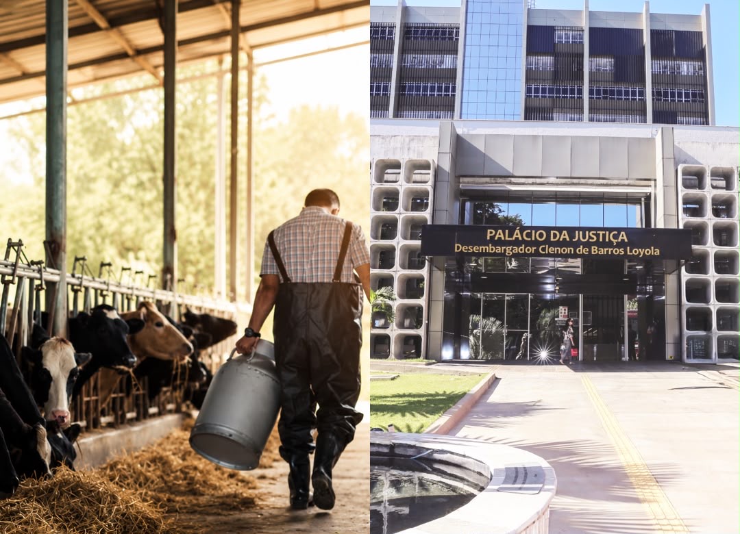 TJGO reforma decisão e concede tutela de urgência a produtor rural 